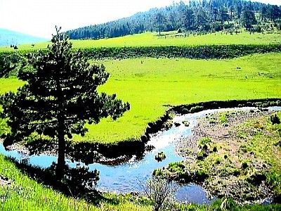 Црвени хоризонт изнад тамних врхова Муртенице у тренутку када сунце нестаје иза брда  Стара капија од нетесаног дрвета која води у планински пашњак окружен каменицом  Усковитлани облаци који се спуштају ниско преко шумовитих гребена Драглице  Беле стазе од дробљеног камена које вијугају кроз сочно зеленило златиборских ливада  Плава маховина на северној страни стабла храста дубоко у планинском усеку  Птичја перспектива на сиве сеоске кровове који штрче из густог зимског снега  Букети дивљих планинских орхидеја скривени у високом травнатом тепиху  Каменити брдо са којег се пружа поглед на змијолике меандре у кањону  Трагови мраза који су претворили обично шибље у прозирне кристалне гране  Планински врх оккупан првом јутарњом руменилом док је долина још у мраку  Заборављена дрвена кола на ивици шуме прекривена дивљим бршљаном  Група високих јела које стоје као стражари на самом рубу провалије  Оштар планински ветар који прави таласе у нетакнутој високој трави  Златни прах полена који лебди у ваздуху на шумској чистини осветљеној сунцем  Залеђена локва на путу која прелама боје зимског неба попут призме  Стрехе сеоских кућа са којих висе дугачке леденице у тишини јануара  Стаза прекривена шишаркама која води дубље у неистражене делове планине  Тамна силуета орла који кружи високо изнад стеновитих врхова у потрази за пленом  Кречњачка стена са које капље хладна вода право у природно камено корито  Мир планинског предвечерја где се чује само тихи шапат ветра кроз гране борова