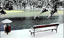 Група витких борова који расту из скоро потпуно голе стене  Плава магла која се у сумрак задржава у увалама између брда  Оштри кристали мраза на бодљикавој жици која омеђује планинско имање  Ветар који под фон истискује облаке преко ивице планинског масива  Густа папрат која потпуно прекрива шумско тло испод столетних букни  Сува златиборска трава која шушти под корацима на отвореном пољу  Тишина планинског врха коју само повремено прекида грактање врана  -  Ветар који под фон истискује облаке преко ивице планинског масива  Густа папрат која потпуно прекрива шумско тло испод столетних букни  Сува златиборска трава која шушти под корацима на отвореном пољу  Тишина планинског врха коју само повремено прекида грактање врана  Блесак сунца на металном крову удаљене колибе усред зеленог пространства