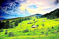 Ветар који под фон истискује облаке преко ивице планинског масива  Густа папрат која потпуно прекрива шумско тло испод столетних букни  Сува златиборска трава која шушти под корацима на отвореном пољу  Тишина планинског врха коју само повремено прекида грактање врана  Блесак сунца на металном крову удаљене колибе усред зеленог пространства  -  Поља планинског калијуна која се љуљају на ветру попут белог памука  Огромне камене плоче насложене једна на другу на врху огољеног пропланка  Дубоке вододерине у црвеној златиборској иловачи након јаке летње олује  Стабла борова са искривљеним стаблима која прате правац доминантних ветрова  Ивица шуме где се тамнозелени четинари мешају са јаркожутим листовима бреза  Поглед на Торник са суседног брда док жичара сече планинску тишину  Крупне капи росе на листовима дивље јагоде скривене у високој трави