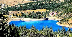 Поља планинског калијуна која се љуљају на ветру попут белог памука  Огромне камене плоче насложене једна на другу на врху огољеног пропланка  Дубоке вододерине у црвеној златиборској иловачи након јаке летње олује  Стабла борова са искривљеним стаблима која прате правац доминантних ветрова  Ивица шуме где се тамнозелени четинари мешају са јаркожутим листовима бреза  Поглед на Торник са суседног брда док жичара сече планинску тишину  Крупне капи росе на листовима дивље јагоде скривене у високој трави  -  Ивица шуме где се тамнозелени четинари мешају са јаркожутим листовима бреза  Поглед на Торник са суседног брда док жичара сече планинску тишину  Крупне капи росе на листовима дивље јагоде скривене у високој трави  Сива измаглица која се лепи за стабла јела у касним јесењим поподневима  Природни амфитеатар од стена испуњен ниским планинским растињем и клеком  Уске козје стазе које пресецају стрме и затегнуте планинске стране  Одсјај месечине на залеђеним падинама које