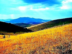 Ивица шуме где се тамнозелени четинари мешају са јаркожутим листовима бреза  Поглед на Торник са суседног брда док жичара сече планинску тишину  Крупне капи росе на листовима дивље јагоде скривене у високој трави  Сива измаглица која се лепи за стабла јела у касним јесењим поподневима  Природни амфитеатар од стена испуњен ниским планинским растињем и клеком  Уске козје стазе које пресецају стрме и затегнуте планинске стране  Одсјај месечине на залеђеним падинама које  -  Одсјај месечине на залеђеним падинама које изгледају као изливено сребро  Старе бразде од плуга на напуштеним њивама које је природа поново присвојила  Група борова на пропланку који изгледају као природне страже изнад провалије  Жути лишајеви који потпуно прекривају јужну страну каменог гребена  Пара која се диже са планинског пута док се сунце појављује након кише  Непрекидни низ брежуљака који нестају у далекој измаглици према Босни