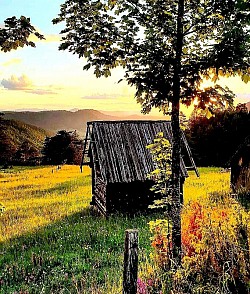 Насипи од дробљеног камена поред планинске реке која у пролеће нагло набуја  Поглед на долину испуњену густом млечном маглом из које извиру само врхови четинара  Суви цветови ливадског биља који трепере на оштром златиборском ваздуху  Вертикалне литице прекривене ниским жбуњем и ретким закржљалим бором  Талас камене прашине који се диже са пута након проласка сеоског камиона  Мирис свеже покошене планинске траве која се суши на јаком поподневном сунцу  Сенке ниских облака које се брзо крећу преко златних брежуљака  Мирна површина Рибничког језера окружена тамним појасом густе шуме  -  Кристално јасно плаво небо изнад врха Торника без трага смога или прашине  Златне нити сунца које се пробијају кроз празнине у старом дрвеном сенику  Мрежа планинских потока која се пресијава попут сребрних вена на падини  Залеђени врхови високе траве који пуцају под тежином првог снега  Стари пластови сена заштићени најлоном на удаљеном и пустом пропланку  Тишина у кањону коју повремено прекида само одрон ситног камена у даљини