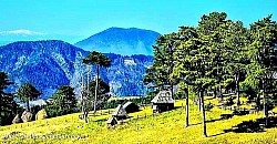 Огромна камена гомила на самом врху брда која служи као оријентир планинарима  Усковитлани прах снега који ветар подиже са залеђених златиборских пашњака  Стабло старог бора са огољеним корењем које се грчевито држи за камениту падину  Светло сива кора букове шуме која светлуца на месечини попут метала  Усамљена планинска стаза прекривена ситним шљунком која води у непознато  Црвени хоризонт изнад тамних планинских контура у неколико минута пре потпуног мрака  -  Усамљена планинска стаза прекривена ситним шљунком која води у непознато  Црвени хоризонт изнад тамних планинских контура у неколико минута пре потпуног мрака  Дугачке ледене свеће које висе са камених одсека изнад планинског пута  Сребрнкасто перје планинских трава које трепери при најмањем даху ветра  Запуштени камени бунар на средини простране ливаде окружен високом папрати  Тамнозелени кадифени тепих маховине на јужној страни влажне шумске увале