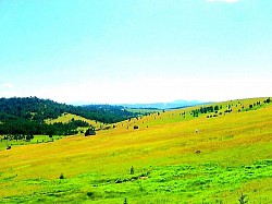 Усамљена планинска стаза прекривена ситним шљунком која води у непознато  Црвени хоризонт изнад тамних планинских контура у неколико минута пре потпуног мрака  Дугачке ледене свеће које висе са камених одсека изнад планинског пута  Сребрнкасто перје планинских трава које трепери при најмањем даху ветра  Запуштени камени бунар на средини простране ливаде окружен високом папрати  Тамнозелени кадифени тепих маховине на јужној страни влажне шумске увале  - Тамнозелени кадифени тепих маховине на јужној страни влажне шумске увале  Висок напон тишине на врху планине где се чује само сопствени дах  Наслаге сувог грања и лишћа које је планинска бујица нанела уз стабла јела  Блесак планинског извора који се прелива преко ивице дрвеног корита за воду  Трагови кочења и плуга на стрмој њиви која се спушта право ка кањону  Мекана текстура јастучића клеке који избијају из сувог златиборског крша