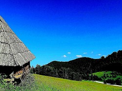 Група високих борова који штрче изнад магле као јарболи потонулог брода  Камене плоче обрасле лишајевима које формирају природне степенице на падини  Сунце које се прелама кроз густу кишну завесу стварајући дугу изнад Муртенице  Мирис влажне земље и трулог лишћа у дубоким усецима златиборских шума  Ниски жбунови боровнице који у јесен попримају боју тамног вина  Узана клисура кроз коју ветар непрестано завија стварајући планинску музику  -  Ниски жбунови боровнице који у јесен попримају боју тамног вина  Узана клисура кроз коју ветар непрестано завија стварајући планинску музику  Слоевити облаци који се нагомилавају на врховима као тешка вуна  Одрази стабала у баркама на путу који изгледају као апстрактне слике  Дивља орхидеја која самотно цвета у заветрини велике кречњачке стене