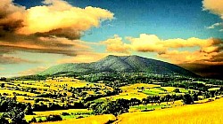 Стрми одсеци сивог кречњака прошарани вертикалним линијама од сливања кишнице  Усамљени чобанин на хоризонту који се стапа са тамном силуетом планине у сумрак  Кратке планинске сенке које се у подне крију испод каменог грмља и клеке  Залеђени извори на стенама који изгледају као окамењени слапови белог стакла  Поглед на Торник са Чиготе кроз провидну измаглицу сунчаног октобарског дана  Златне нити планинске траве заробљене у прозирном леду након ледене кише  - Златне нити планинске траве заробљене у прозирном леду након ледене кише  Узани усеци у камену које је вековима дубила хладна планинска вода  Тамна земља провирена испод снежног покривача на местима где је ветар најјачи  Група борова на ивици провалије нагнутих под углом који пркоси логици  Мрежа ситних пукотина на кори стогодишње смрче испуњена стврднутом смолом  Бела камена стаза која се губи у тамнозеленом тунелу густе четинарске шуме