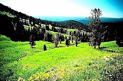 Бескрајна тишина планинског поља коју прекида само удаљени звук меденице  Ниско жбуње које под снегом добија облике необичних белих скулптура  Сува стабљика дивљег мака која штрчи из пукотине у каменој литици  Светлосни прстенови око врхова борова у тренутку кад сунце залази иза гребена  Падина прекривена хиљадама ситних шишарки које пуцкетају под корацима  -  Оштре камене литице Златибора које се окомито спуштају ка долини прекривеној густом шумом  Пропланак засут пољским цвећем на обронцима Златибора који мирише на чист планински ваздух  Снопови светлости који се пробијају кроз крошње златиборских смрча и осветљавају тајне шумске стазе  Површина златиборских језера која попут огледала рефлектује нетакнуто плаво небо  Панорамски поглед на златна поља златиборске траве под снажним ударима ветра са Муртенице