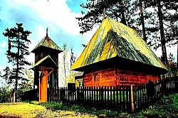 Површина златиборских језера која попут огледала рефлектује нетакнуто плаво небо  Панорамски поглед на златна поља златиборске траве под снажним ударима ветра са Муртенице  Гране златиборске клеке са плавим плодовима које избијају директно из сивог кречњака  Стадо говеда на златиборској испаши под високим литицама које штите стоку од планинске олује  Снежни наноси на златиборским сеоским путевима који праве дубоке сенке у касно поподне  -  Златиборска изворска вода која се слива низ стене обрасле тамнозеленом влажном маховином  Усамљени златиборски бор на каменитом вису који пркоси суровим планинским зимама  Трагови мраза на дивљим плодовима глога поред старе златиборске ограде од дрвета  Високи врхови Златибора прекривени плавкастом измаглицом у тренутку смираја дана  Сеоско двориште на Златибору са насложеним дрвима за дугу и хладну зиму