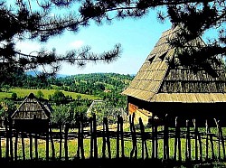 Златиборска изворска вода која се слива низ стене обрасле тамнозеленом влажном маховином  Усамљени златиборски бор на каменитом вису који пркоси суровим планинским зимама  Трагови мраза на дивљим плодовима глога поред старе златиборске ограде од дрвета  Високи врхови Златибора прекривени плавкастом измаглицом у тренутку смираја дана  Сеоско двориште на Златибору са насложеним дрвима за дугу и хладну зиму  -  Сеоско двориште на Златибору са насложеним дрвима за дугу и хладну зиму  Пут који нестаје у густој златиборској шуми док се изнад њега уздижу сури орлови  Цветни тепих љубичица на ивици златиборских шума у првим данима пролећа  Зидине старе златиборске куће која се полако али сигурно стапа са природним пејзажом  Узана златиборска клисура са брзим потоком који ствара белу пену преко камена  Падина Златибора прекривена папрати која у јесен поприма јарку бакарну боју