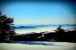 Маховина на северној страни каменог зида старе златиборске цркве ушушкане у планински мир  Златиборско сунце које се рађа иза масива Златара  -  Усамљена златиборска чесма са хладном изворском водом поред кривудавог планинског пута  Сита стабла златиборске букве са сребрнкастом кором која се издвајају у четинарском окружењу  Кристали леда на осушеној златиборској трави који светлуцају под првим сунчевим зрацима  Дубоке бразде у златиборском каменитом путу испране обилним планинским кишама  Кружне формације ниских златиборских борова на пропланку које изгледају као природни заклони и осветљава дубоке планинске долине  Кратка златиборска трава која се снажно повија под јаким ударима ветра на огољеном врху  Високи орлови који круже изнад златиборских кањона тражећи плен у неприступачним литицама  Усамљена златиборска чесма са хладном изворском водом поред кривудавог планинског пута  -