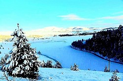 Кружне формације ниских златиборских борова на пропланку које изгледају као природни заклони  Бели златиборски кречњачки сипар који се осипа низ стрму падину ка зеленом шибљу  Поглед са златиборских врхова на планинске венце у даљини који се преливају у љубичасте тонове  Златиборски пастирски пас који верно осматра стадо са врха каменитог брега  Оштра златиборска папрат која извирује из шупљина у старим пањевима посечених стабала  -  Златиборски пастирски пас који верно осматра стадо са врха каменитог брега  Оштра златиборска папрат која извирује из шупљина у старим пањевима посечених стабала  Дивља златиборска јабука у цвету усред планинског пашњака окружена апсолутном тишином  Мали дрвени мост преко брзе златиборске речице у дубокој сенци високих јела  Слоеви сувих златиборских четина који прикривају шумску стазу и праве мекану подлогу