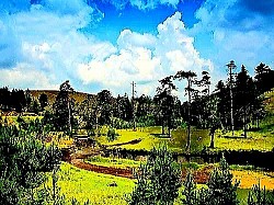 Златиборски пастирски пас који верно осматра стадо са врха каменитог брега  Оштра златиборска папрат која извирује из шупљина у старим пањевима посечених стабала  Дивља златиборска јабука у цвету усред планинског пашњака окружена апсолутном тишином  Мали дрвени мост преко брзе златиборске речице у дубокој сенци високих јела  Слоеви сувих златиборских четина који прикривају шумску стазу и праве мекану подлогу  -  Врх златиборске планине потпуно огољен ветром са којег пуца поглед на целу регију  Стари камени златиборски крајпуташ обрастао лишајевима на ивици заборава  Сенке златиборских борова које се бесконачно издужују преко златних поља у предвечерје  Група дивљих свиња која брзо прелази преко златиборског шумског пропланка у сумрак  Роса на пауковој мрежи разапетој између златиборских жбунова глога и трњине  Сиви златиборски јастреб у ниском лету изнад каменитих пашњака и дубоких увала