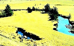 Врх златиборске планине потпуно огољен ветром са којег пуца поглед на целу регију  Стари камени златиборски крајпуташ обрастао лишајевима на ивици заборава  Сенке златиборских борова које се бесконачно издужују преко златних поља у предвечерје  Група дивљих свиња која брзо прелази преко златиборског шумског пропланка у сумрак  Роса на пауковој мрежи разапетој између златиборских жбунова глога и трњине  Сиви златиборски јастреб у ниском лету изнад каменитих пашњака и дубоких увала  -  Залеђени златиборски водопад на малом потоку који изгледа као стаклена скулптура усред планинске зиме  Мирис златиборске смоле који се шири кроз ваздух на загрејаној шумској чистини током летњег поподнева  Оштра пукотина у златиборској каменој литици из које избија чврст бор пркосећи суровим планинским условима  Узани златиборски шумски пролаз кроз који се види далеки планински ланац у плавичастим измаглицама  Нахерена дрвена златиборска ограда која се протеже дуж брда све док не нестане у густим четинарима