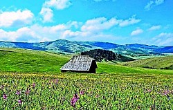 Залеђени златиборски водопад на малом потоку који изгледа као стаклена скулптура усред планинске зиме  Мирис златиборске смоле који се шири кроз ваздух на загрејаној шумској чистини током летњег поподнева  Оштра пукотина у златиборској каменој литици из које избија чврст бор пркосећи суровим планинским условима  Узани златиборски шумски пролаз кроз који се види далеки планински ланац у плавичастим измаглицама  Нахерена дрвена златиборска ограда која се протеже дуж брда све док не нестане у густим четинарима  -  Узани златиборски шумски пролаз кроз који се види далеки планински ланац у плавичастим измаглицама  Нахерена дрвена златиборска ограда која се протеже дуж брда све док не нестане у густим четинарима  Вртлози златиборске магле који се преливају преко ивице кањона стварајући илузију белог водопада  Тамнозелена површина златиборских четинара испресецана светлим линијама хладних планинских потока  Стари златиборски пањ прекривен разнобојним гљивама и густом маховином у дубокој сенци смрче  Златиборски кречњачки блокови разасути по пашњаку попут остатака неке древне грађевине у кршу  Зраци златиборског сунца који се ломе кроз капи кишнице на оштрим иглама црног бора  Поглед на златиборско село Драглица где дим из оџака вертикално сече оштар планински ваздух  Дивље златиборске купине које пужу преко сивих стена на самој ивици планинског пута  Висока златиборска трава која је потпуно полегла под тежином првог и суровог јесењег мраза  Сиви златиборски јастреб на сувој грани који непомично осматра терен планинске заравни  Заравни на врховима златиборске Муртенице где ветар обликује круне дрвећа у чудне и искривљене форме  Подлога од сувих златиборских четина која пригушује сваки звук корака у дубини столетне шуме  Кратке златиборске сенке у подне на огољеном каменитом врху испод савршено плавог неба  Мека златиборска маховина која потпуно облаже корење вековних стабала у планинским усецима  Мирна златиборска завала испуњена мирисом пољског цвећа и непрестаним зујањем пчела  Ивица златиборске провалије са које пуца поглед на хиљаде нијанси шума у кањону испод  Стара камена златиборска чесма са које се ледена вода слива у рустично дрвено корито  Небо боје олова изнад заснежених златиборских падина које најављује нову планинску мећаву  Сребрнкасти одсјај златиборских река у даљини између два велика шумовита брда  Ситни бели цветови камилице разасути по сувом златиборском тлу на отвореним пропланцима  Група високих златиборских бреза које светле као бели стубови у тамном четинарском окружењу